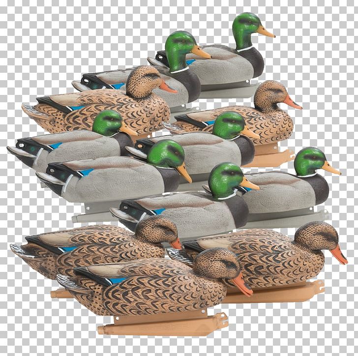 Mallard Duck Plastic PNG, Clipart, Animals, Beak, Bird, Decoy, Duck Free PNG Download