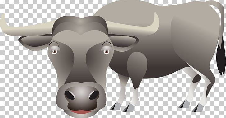 Dairy Cattle PNG, Clipart, Animals, Bull, Cartoon, Cattle, Cattle Like Mammal Free PNG Download