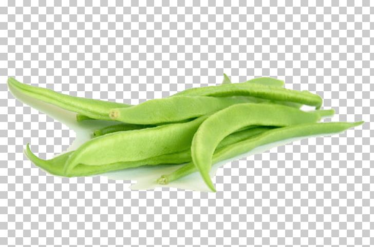Snap Pea Green Bean Flat Bean Vegetable PNG, Clipart, Bean, Beans, Broad Bean, Commodity, Common Bean Free PNG Download
