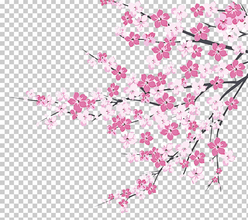 Cherry Blossom PNG, Clipart, Blossom, Branch, Cherry Blossom, Cut Flowers, Flower Free PNG Download