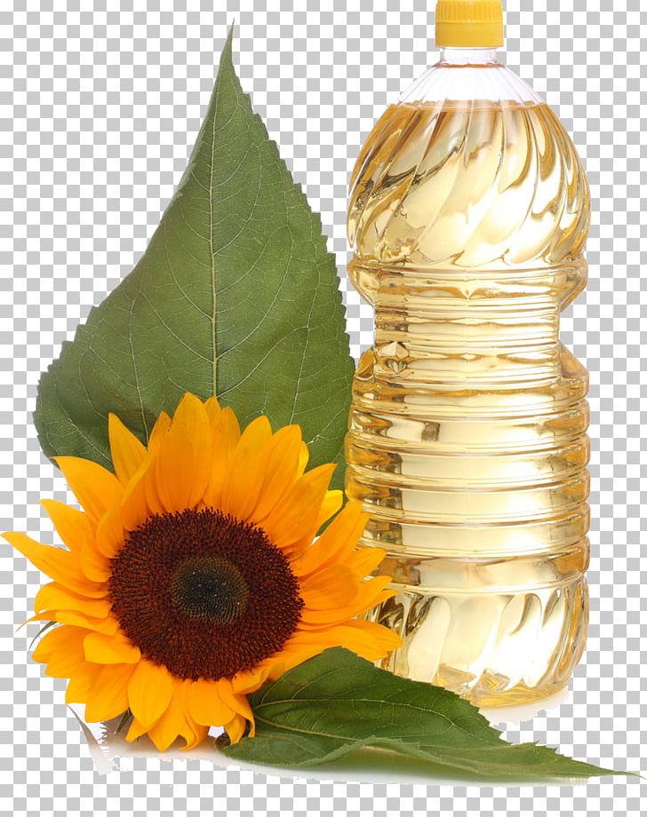 Common Sunflower Sunflower Oil Vegetable Oil Sunflower Seed PNG, Clipart, Calorie, Coconut Oil, Common Sunflower, Cooking, Cooking Oil Free PNG Download