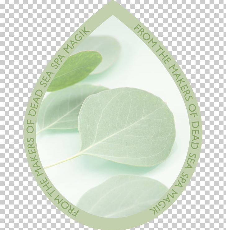 Green Leaf Gum Trees Tableware PNG, Clipart, Dishware, Green, Gum Trees, Leaf, Tableware Free PNG Download