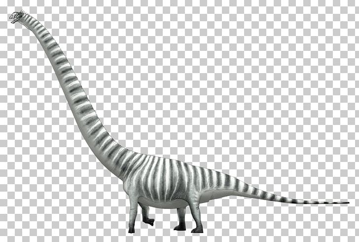 Mamenchisaurus Dinosaur Lusotitan Sauropoda Brachiosaurus PNG, Clipart, Animal, Animal Figure, Black And White, Brachiosaurus, Claosaurus Free PNG Download