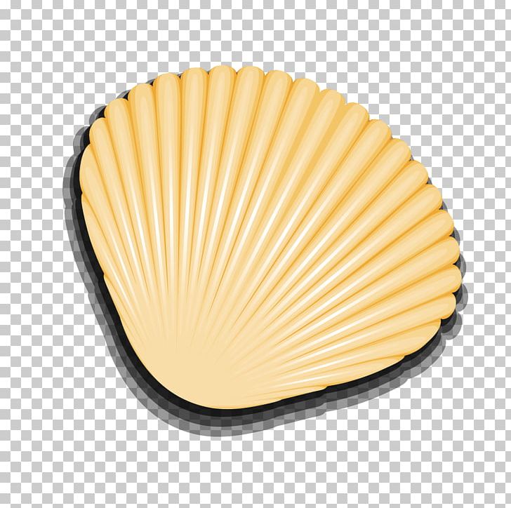 Seashell Euclidean PNG, Clipart, Animals, Coral, Encapsulated Postscript, Explosion Effect Material, Happy Birthday Vector Images Free PNG Download