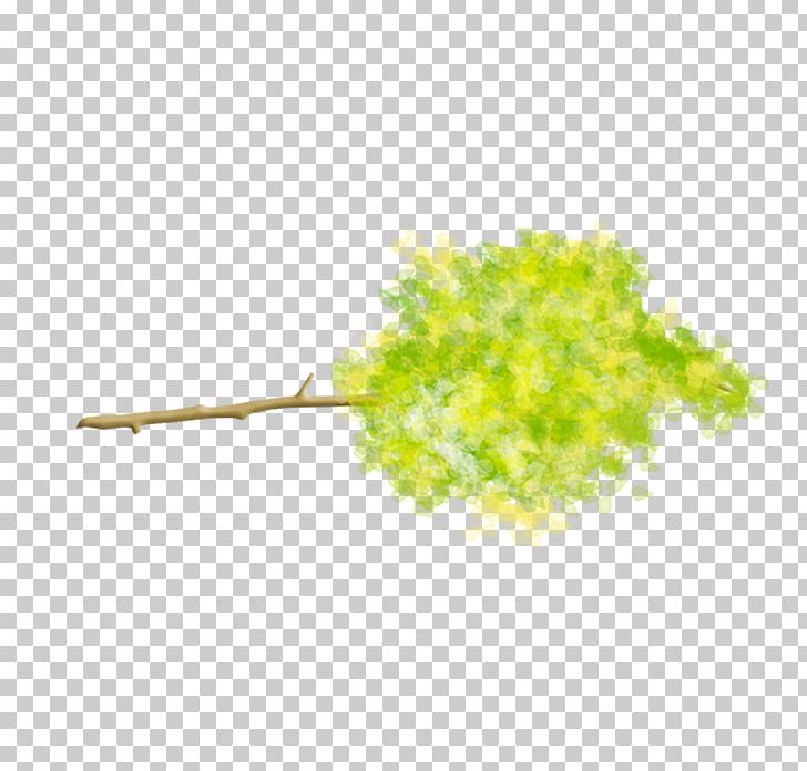 Twig Poster PNG, Clipart, Branch, Concepteur, Designer, Graphic, Grass Free PNG Download