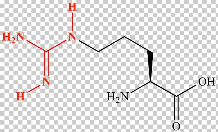Amino Acid Amine Guanidine Protein Lewis Structure PNG, Clipart, Acid, Alpha And Beta Carbon, Amine, Amino Acid, Angle Free PNG Download