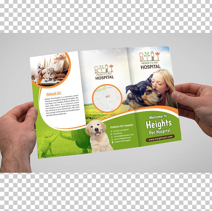 Brochure Brand PNG, Clipart, Advertising, Brand, Brochure, Flyer, Flyer Design Free PNG Download