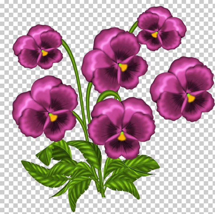 African Violets Light PNG, Clipart, African Violets, Cut Flowers, Desktop Wallpaper, Flower, Flowering Plant Free PNG Download