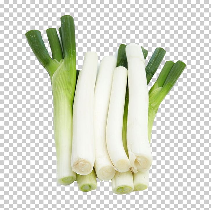 Allium Fistulosum Garlic Shallot Scallion Vegetable PNG, Clipart, Aliexpress, Allium, Allium Fistulosum, Background Green, Commodity Free PNG Download