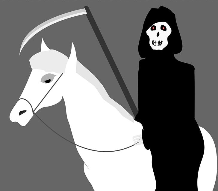 Death Horse PNG, Clipart, Art, Black, Black And White, Cartoon, Cliparts Binky Free PNG Download