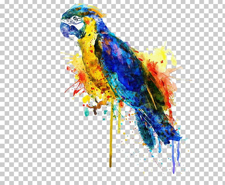 Parrot Fine Art Watercolor Painting Bird PNG, Clipart, Animals, Art, Artist, Art Museum, Beak Free PNG Download