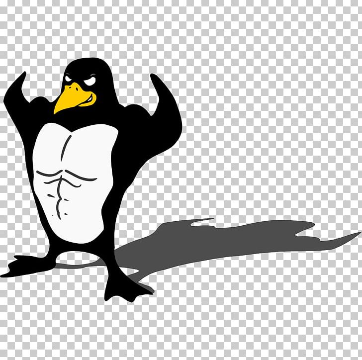 Penguin Muscle Biceps Arm PNG, Clipart, Animals, Arm, Beak, Biceps, Bird Free PNG Download