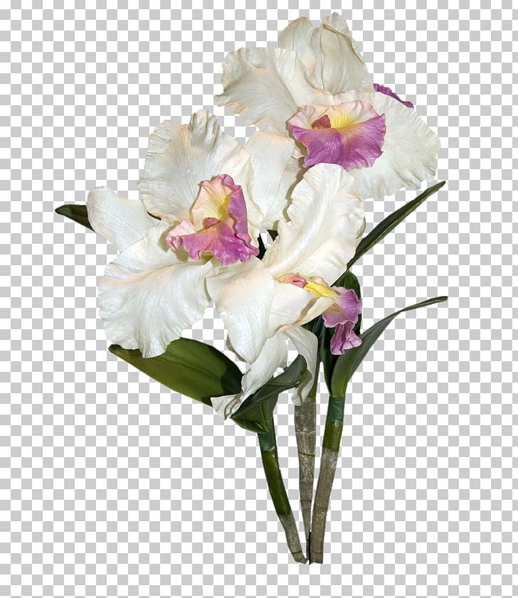 White Cut Flowers Orchids PNG, Clipart, Artificial Flower, Cattleya, Cattleya Orchids, Color, Cut Flowers Free PNG Download
