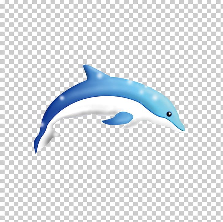 Common Bottlenose Dolphin Tucuxi Short-beaked Common Dolphin Porpoise PNG, Clipart, Animal, Animals, Azure, Beak, Blue Free PNG Download