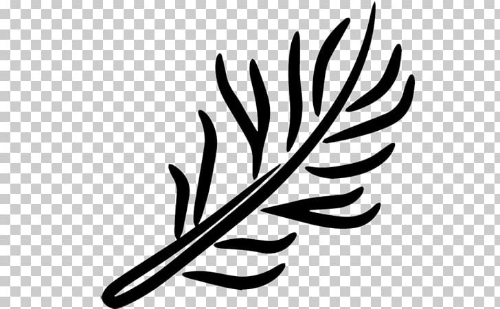 Computer Icons Rosemary Herb Food PNG, Clipart, Artwork, Black And White, Branch, Chef, Cocktail Free PNG Download