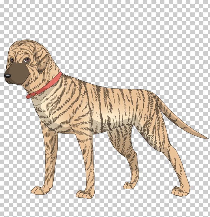 Dog Breed Sporting Group Retriever Cat PNG, Clipart, Animals, Big Cat, Big Cats, Breed, Carnivoran Free PNG Download