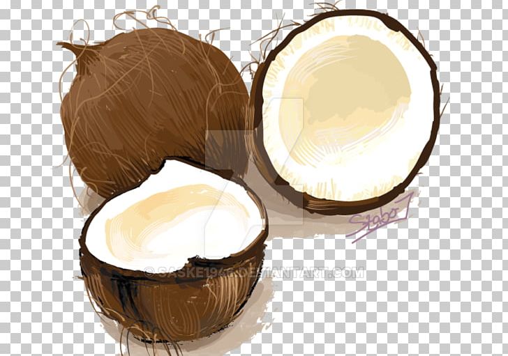 Drawing Coconut PNG, Clipart, Art, Art Museum, Coconut, Cup, Deviantart Free PNG Download