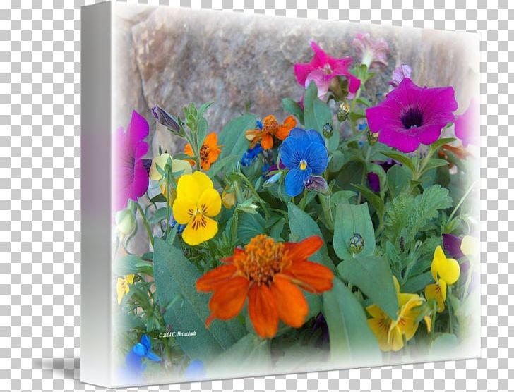 Floral Design Cut Flowers Flower Bouquet Flowerpot PNG, Clipart, Annual Plant, Cut Flowers, Family, Floral Design, Floristry Free PNG Download