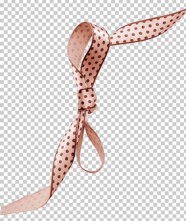 Shoelace Knot Bow Tie Google S PNG, Clipart, Albom, Bow, Bow And Arrow, Bows, Bow Tie Free PNG Download