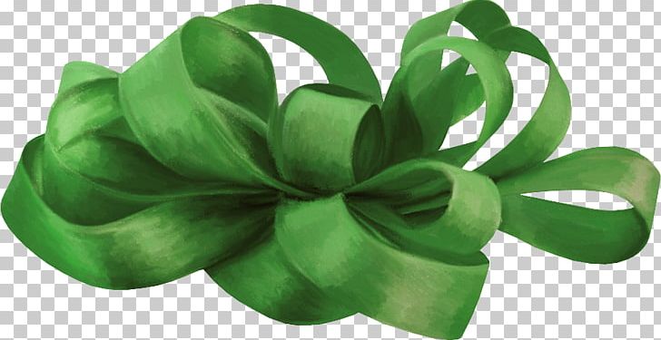 Shoelace Knot Green Silk Ribbon PNG, Clipart, Avatar, Blog, Copyright, Drawing, Editing Free PNG Download