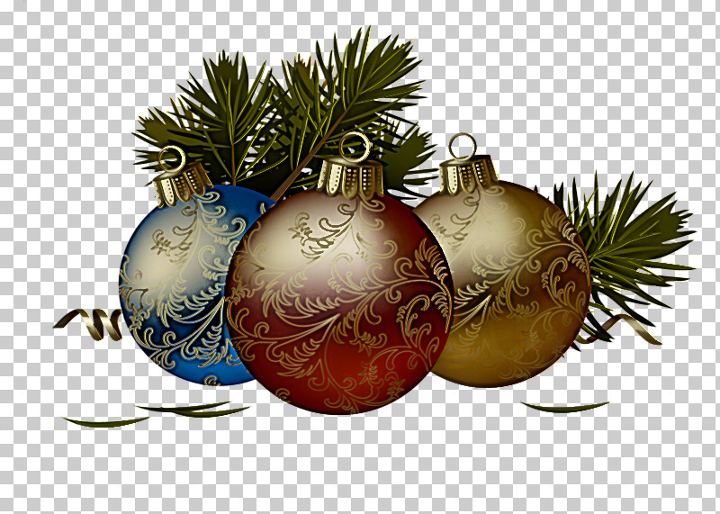 Christmas Ornament PNG, Clipart, Arecales, Christmas, Christmas Decoration, Christmas Ornament, Christmas Tree Free PNG Download