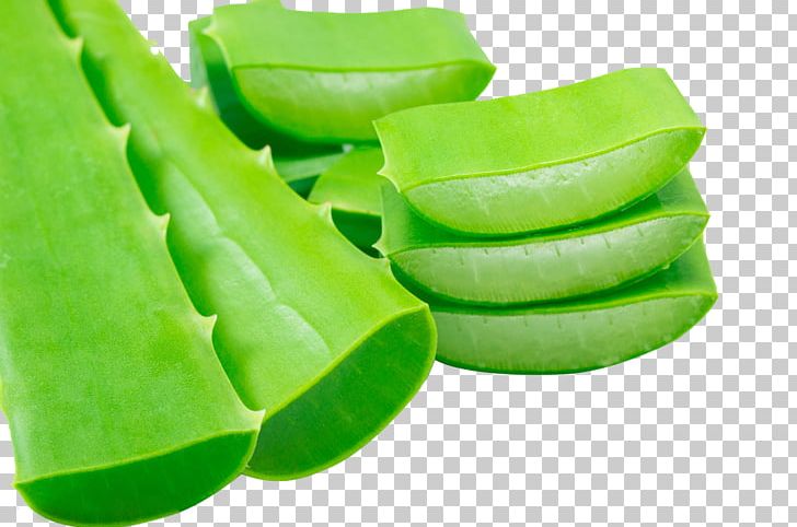 Aloe Vera Aloe Ferox Extract Alibaba Group Powder PNG, Clipart, Alibaba Group, Aliexpress, Aloe, Aloe Ferox, Aloe Plant Free PNG Download