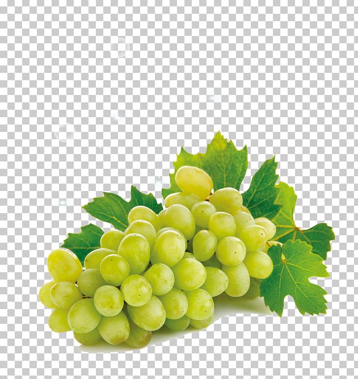 Juice Seedless Fruit Grape Vegetable PNG, Clipart, Bla, Cartoon, Cartoon Fruit, Cucumber, Dried Fruit Free PNG Download