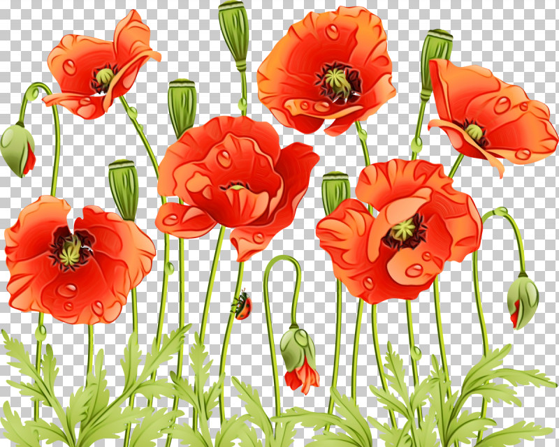 Floral Design PNG, Clipart, Annual Plant, Cut Flowers, Floral Design, Flower, Gift Free PNG Download