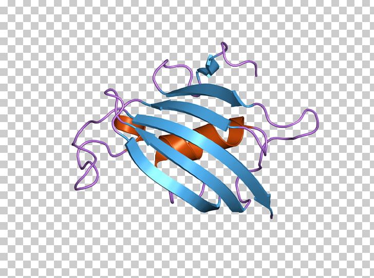 FKBP8 Protein FKBP10 Gene PNG, Clipart, Art, Awg, Calcineurin, Domain, Ebi Free PNG Download