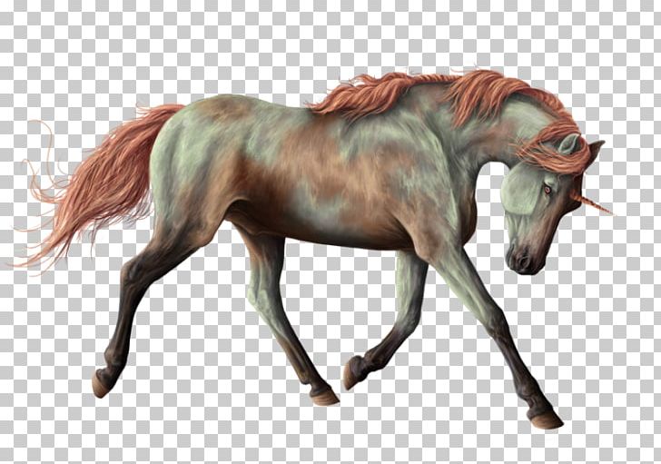 Mane Mustang Stallion Foal Mare PNG, Clipart,  Free PNG Download