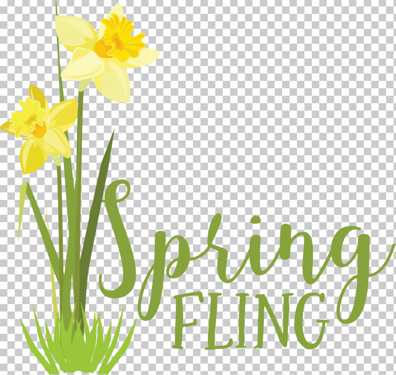 Plant Stem Daffodil Font Yellow Happiness PNG, Clipart, Biology, Daffodil, Happiness, Meter, Plant Free PNG Download