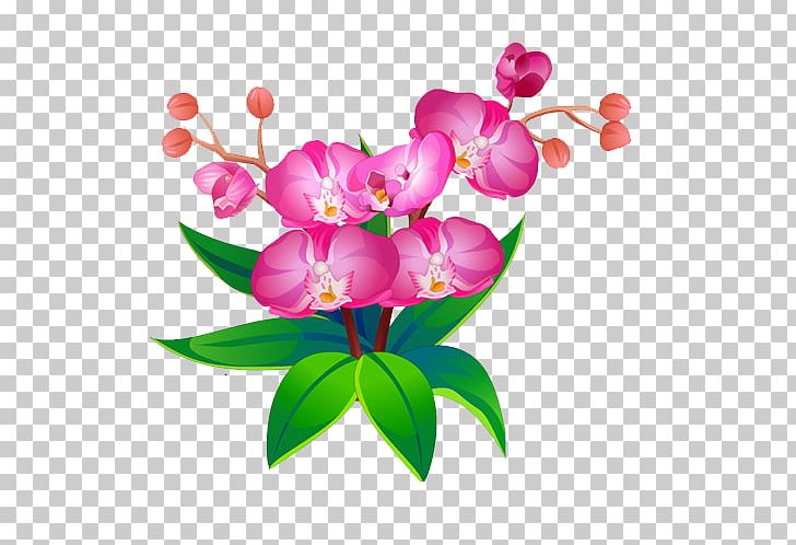 Alfalfa Plant Flower PNG, Clipart, Blossom, Branch, Clover, Cut Flowers, Download Free PNG Download