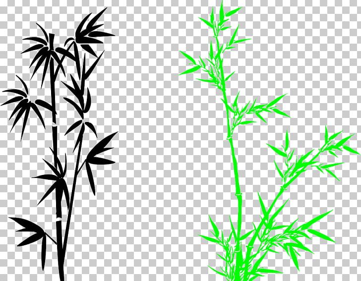 Bamboo Bambusa Oldhamii Wall PNG, Clipart, Bamboo, Black And White, Branch, Cartoon, Cartoon Eyes Free PNG Download