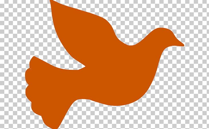 Columbidae Peace Symbols PNG, Clipart, Beak, Bird, Burn, Columbidae, Dove Free PNG Download