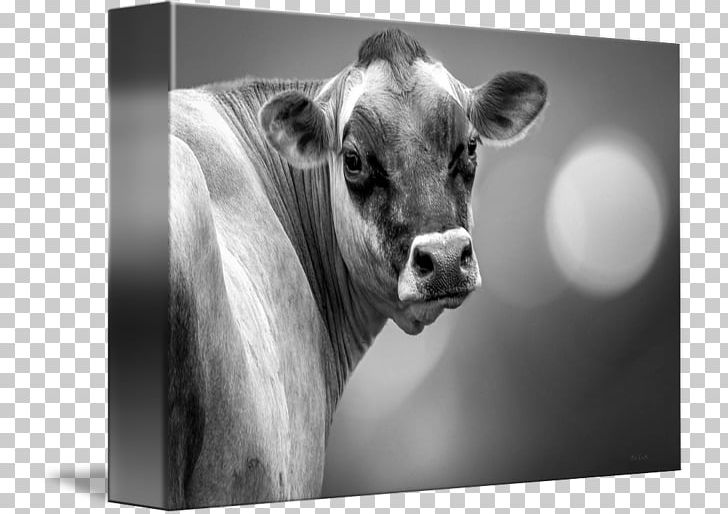 Dairy Cattle Art Black And White PNG, Clipart, Art, Artist, Black, Black And White, Cattle Free PNG Download