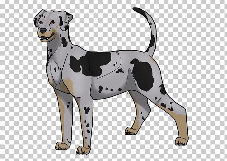 Dalmatian Dog Dog Breed Non-sporting Group Paw PNG, Clipart, Animated Cartoon, Blair Brown, Breed, Carnivoran, Dalmatian Free PNG Download