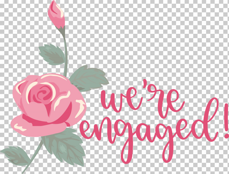 We Are Engaged Love PNG, Clipart, Cut Flowers, Floral Design, Flower, Garden, Garden Roses Free PNG Download