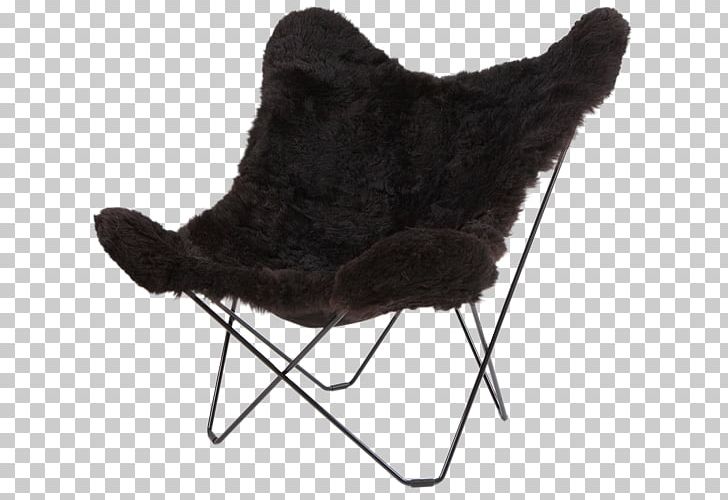 Butterfly Chair Sheepskin Carpet Eames Lounge Chair PNG, Clipart, Butterfly Chair, Carpet, Chair, Chaise Longue, Couch Free PNG Download