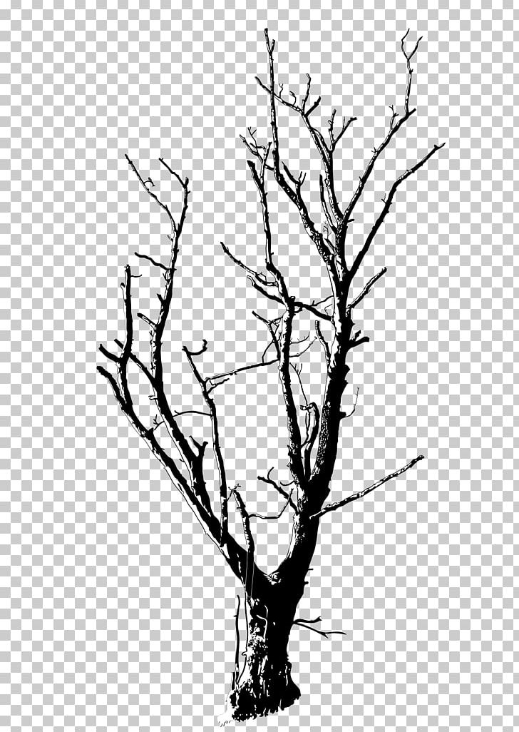 Drawing Branch Silhouette Tree PNG, Clipart, Animals, Art, Black And White, Branch, Computer Icons Free PNG Download