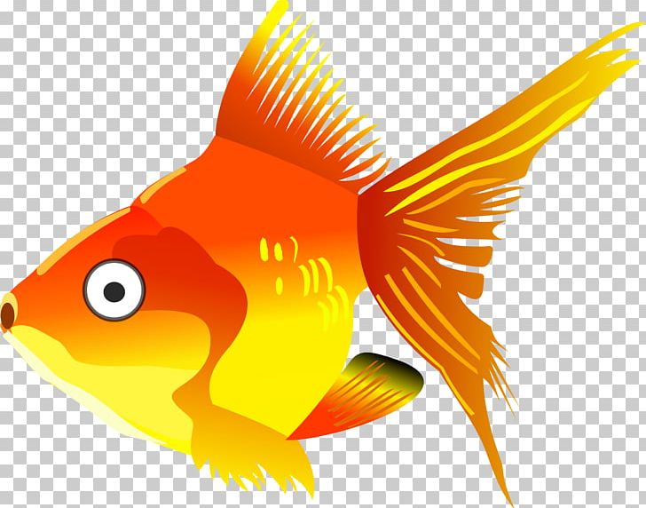 Goldfish PNG, Clipart, Animals, Aquarium, Beak, Bony Fish, Cartoon Free PNG Download