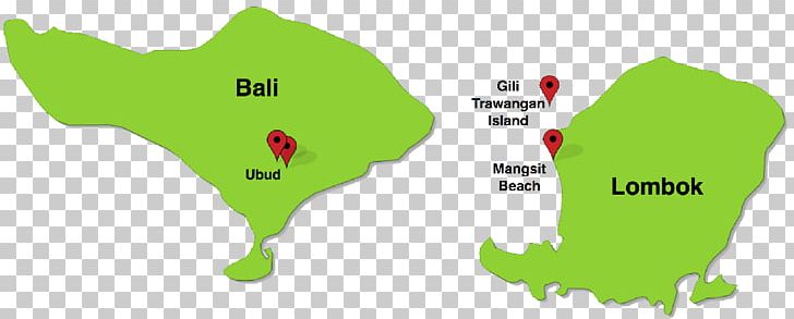 Green Leaf Map Line Tuberculosis PNG, Clipart, Animal, Area, Bali Map, Grass, Green Free PNG Download