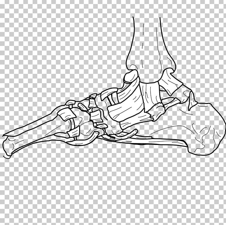 Joint Bone Human Body PNG, Clipart, Angle, Arm, Black And White, Drawing, Exo Skeleton Free PNG Download