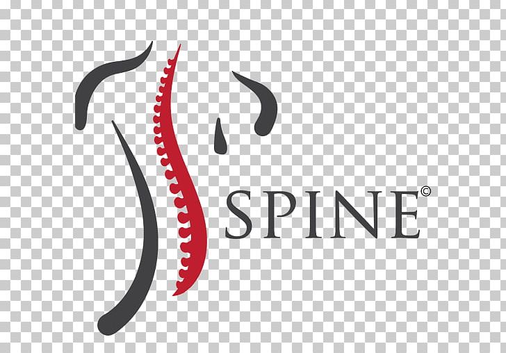 Spine logo icon Royalty Free Vector Image - VectorStock