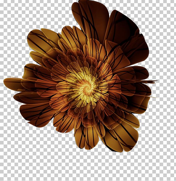 Transvaal Daisy Chrysanthemum Business Hotel PNG, Clipart, Blue, Business, Chrysanths, Color, Cut Flowers Free PNG Download