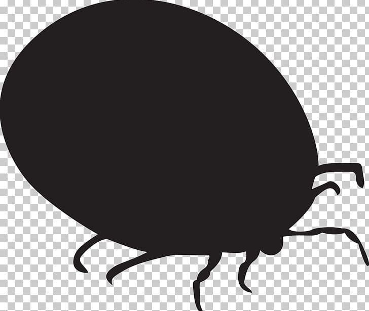 Acari Mosquito Babesiosis Tick Itch PNG, Clipart, Acari, Ache, Babesiosis, Black, Black And White Free PNG Download