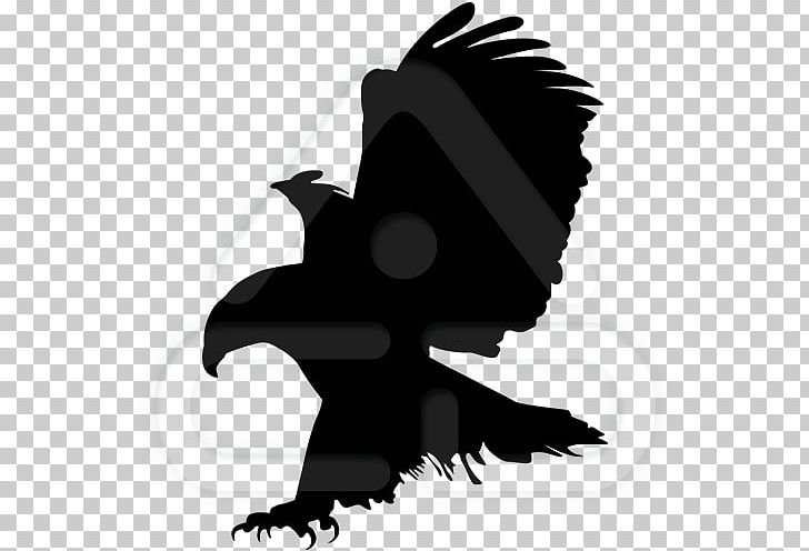 Club América Tigres UANL Americas El Súper Clásico Football PNG, Clipart, Americas, Beak, Bird, Bird Of Prey, Black Free PNG Download