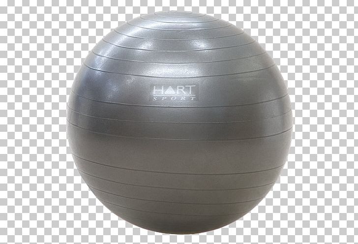 Exercise Balls Fitness Centre Medicine Balls PNG, Clipart, Ball, Bulgarian Bag, Dumbbell, Exercise, Exercise Balls Free PNG Download
