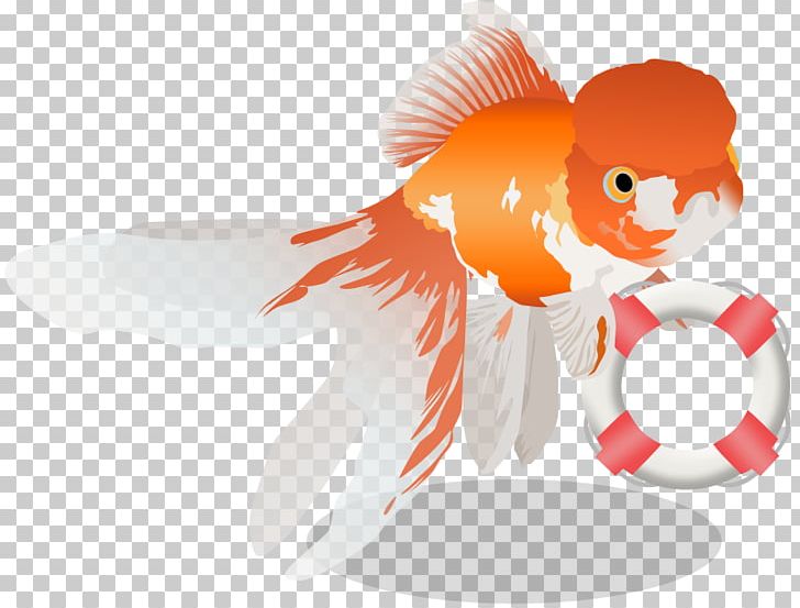 Goldfish Vertebrate PNG, Clipart, Animal, Animals, Cardiopulmonary Resuscitation, Cartoon, Character Free PNG Download