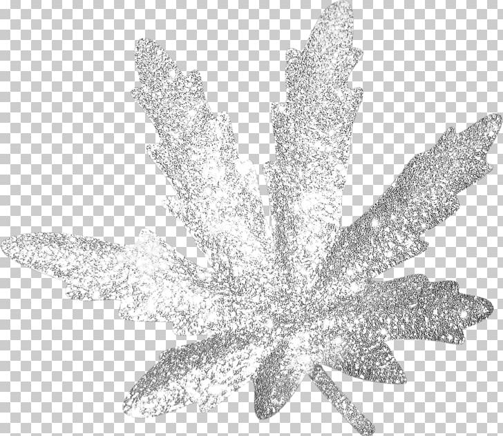 Leaf White PNG, Clipart, Black And White, Cizgi, Leaf, Monochrome Photography, Sonbahar Yaprak Free PNG Download