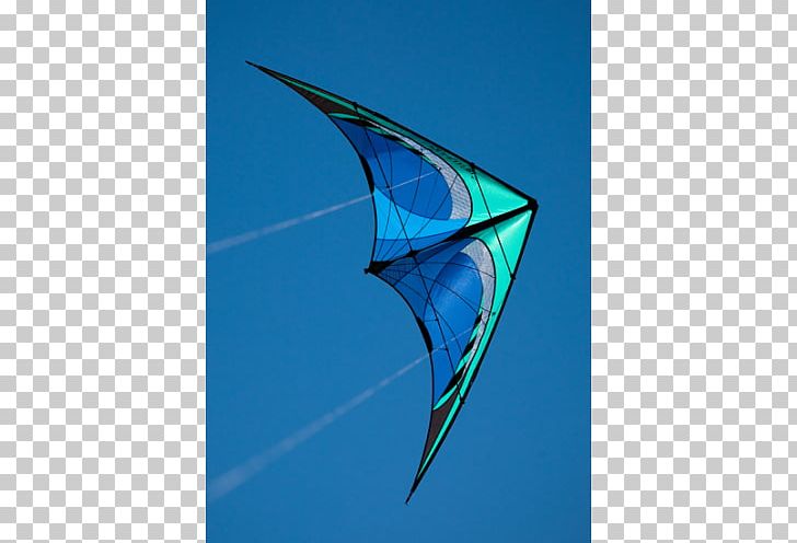 Sport Kite Aviation Prism PNG, Clipart, Aviation, Color, Kite, Kite Sports, Miscellaneous Free PNG Download